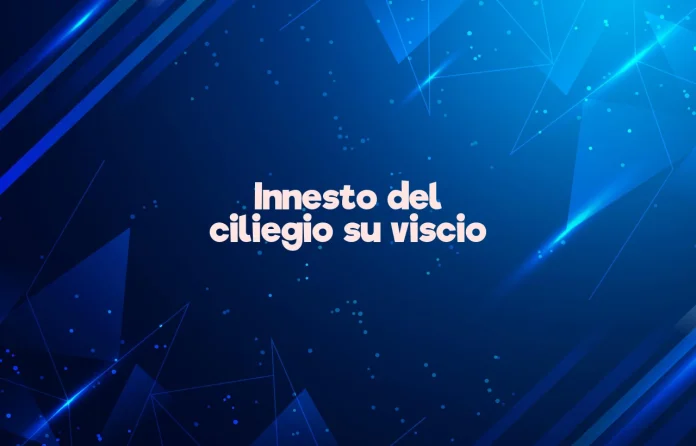 Innesto del ciliegio su visciolo