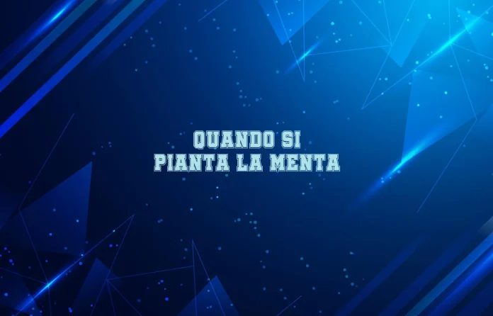 Quando si pianta la menta