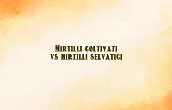 Mirtilli coltivati vs mirtilli di bosco