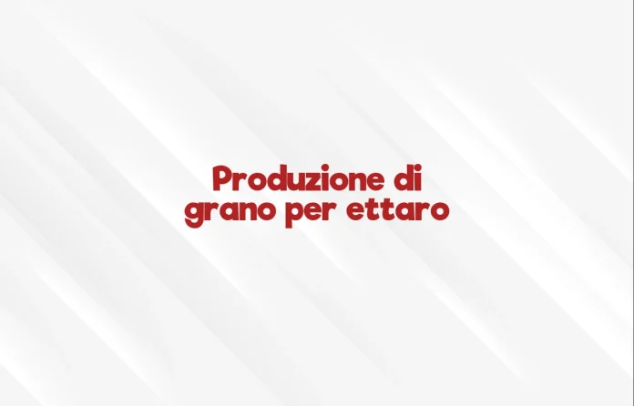 Produzione di grano per ettaro