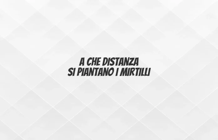 A quale distanza si pianta il mirtillo