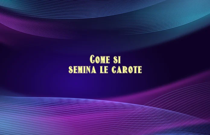 Come si semina le carote