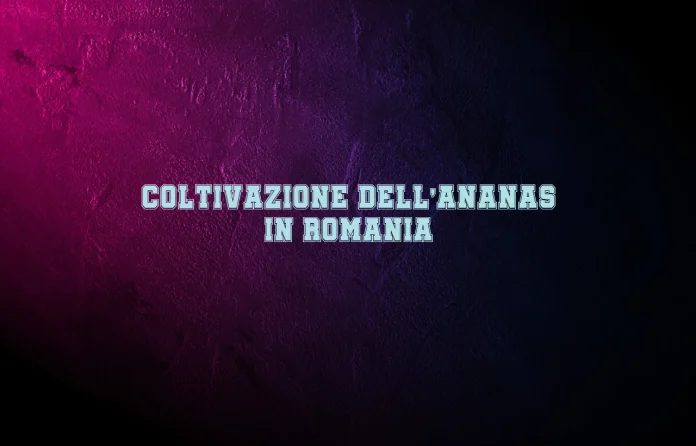 Coltivazione dellâ€™ananas in Romania