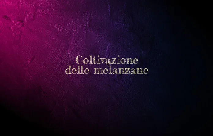 Coltivazione delle melanzane