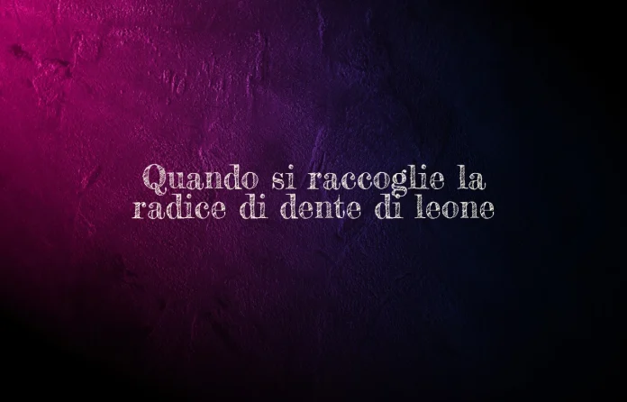 Quando si raccoglie la radice di tarassaco