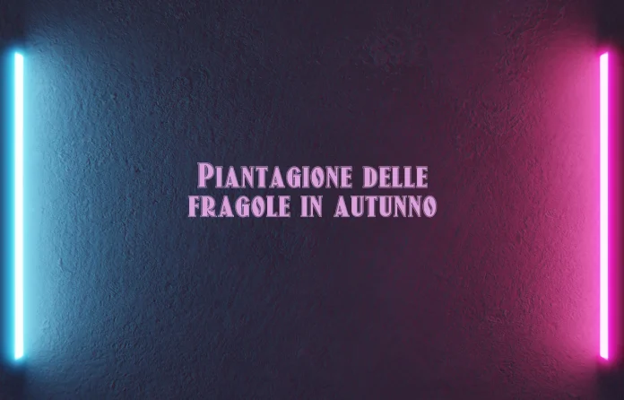 Piantagione delle fragole in autunno