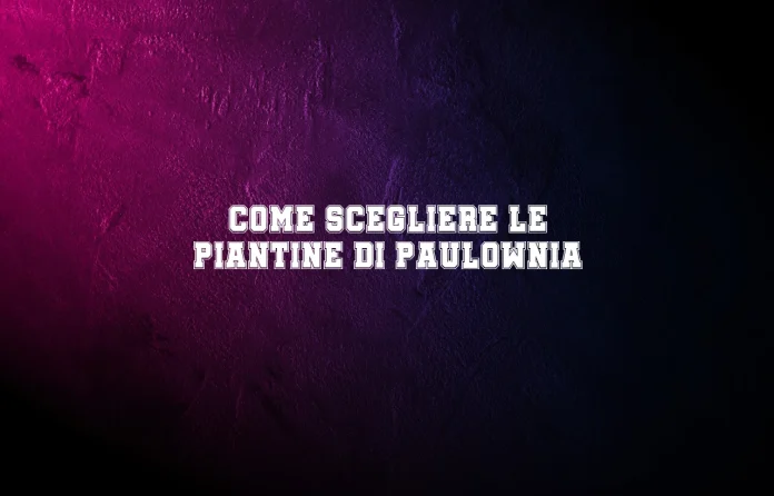 Piantine di Paulownia