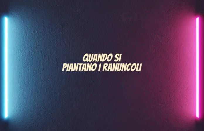 Quando si piantano i ranuncoli
