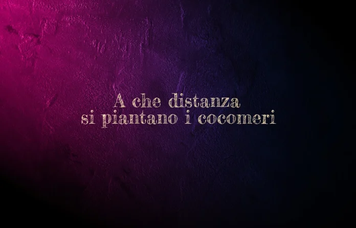 A quale distanza si piantano i cocomeri