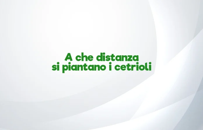 A quale distanza si piantano i cetrioli