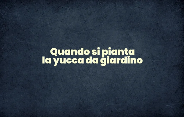 Quando si pianta la yucca da giardino