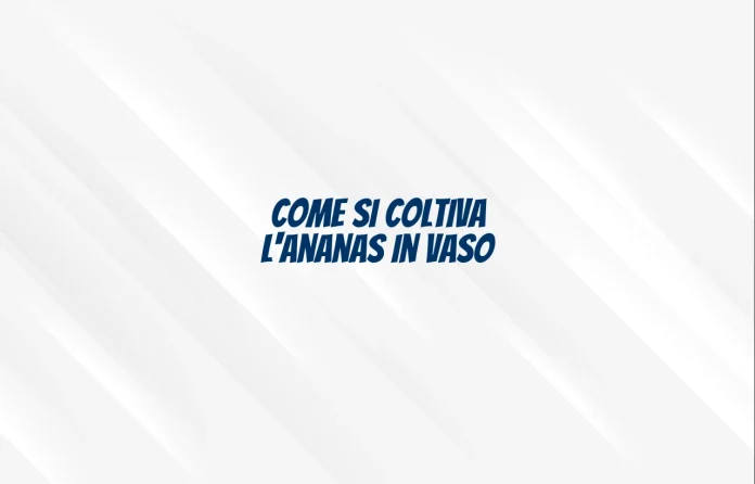 Coltivazione dellâ€™ananas in vaso