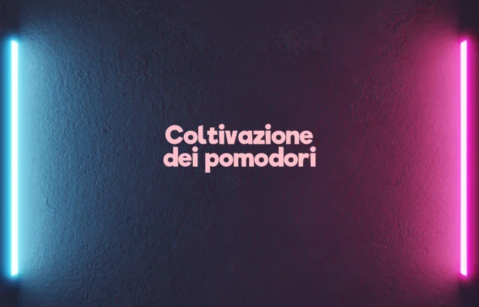 Coltivazione dei pomodori